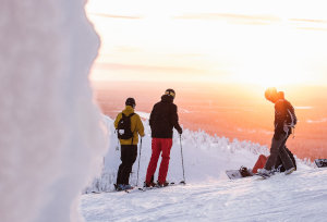 e-bike tours in norway, bird watching tours in norway, fjord tours in norway, fjords, bergen, oslo, lofoten, alta, alesund, tromso, svalbard, iceland, finland, norway, northern lights tours norway, glacier tours norway, lofoten islands, city tours norway, midnight sun norway, sailing tours, fishing tours, whale watching tours, ski tours, hiking tours, norway glacier tours finland lapland rovaniemi helsinki oulu tours ski cooking tours photography tours finland laplandmulti-day tours northern lights kart tours kayak tours transfer helicopter tours santa tours christmas tours santa claus village tours hiking tours horse riding tours fishing tours sailing tours finland yoga tours lapland midnight sun finland lapland survival courses finland lapland Visit Finland with our selection of walking and hiking tours in Finland. Hike through forests and valleys. Hike on snowshoes in Lapland. sweden bike tours, christmas tours, city tours, stockholm tours, dog sled tours,dog lsledding tours sweden, hiking tours, ice skating tours, kayak tours, multi-day tours stockholm,lapland, museums sweden culture, nature tours, hiking hike tours, northern lights tours, northern lighs hunt, aurora hunt, snowmobile sweden, snowshoes sweden, survival courses sweden, tours aurora boreal noruega islandia islândia suécia finlândia suecia finlandia oslo reykjavik rovaniemi alta bodo bodø northern lights países nórdicos nordics booknordics scandinavia escandinávia husky sled reindeer santa claus sauna lake trenó treno huskies sled renas renas rudolgo pai natal sauna seca finlandesa transfer taxi snowshoeing helsinki finland