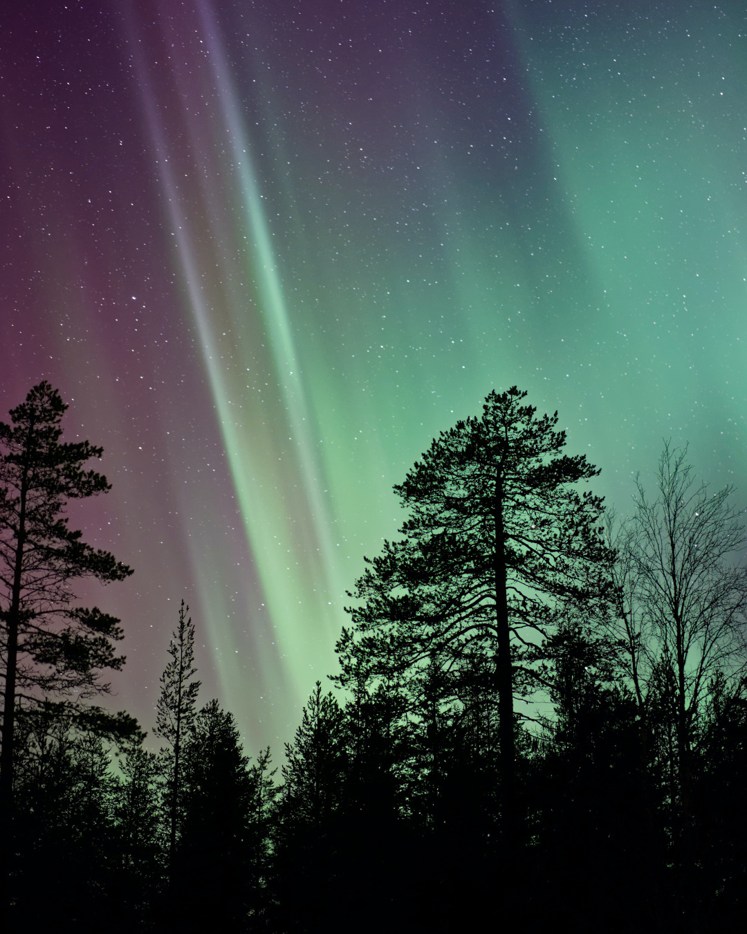 The breathtaking Northern Lights in Lapland