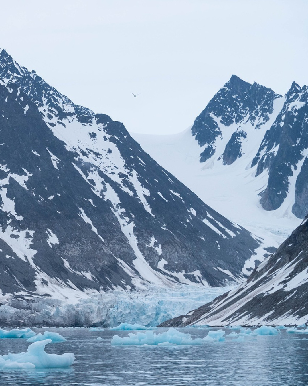 Exploring the Arctic Wonderland: Svalbard