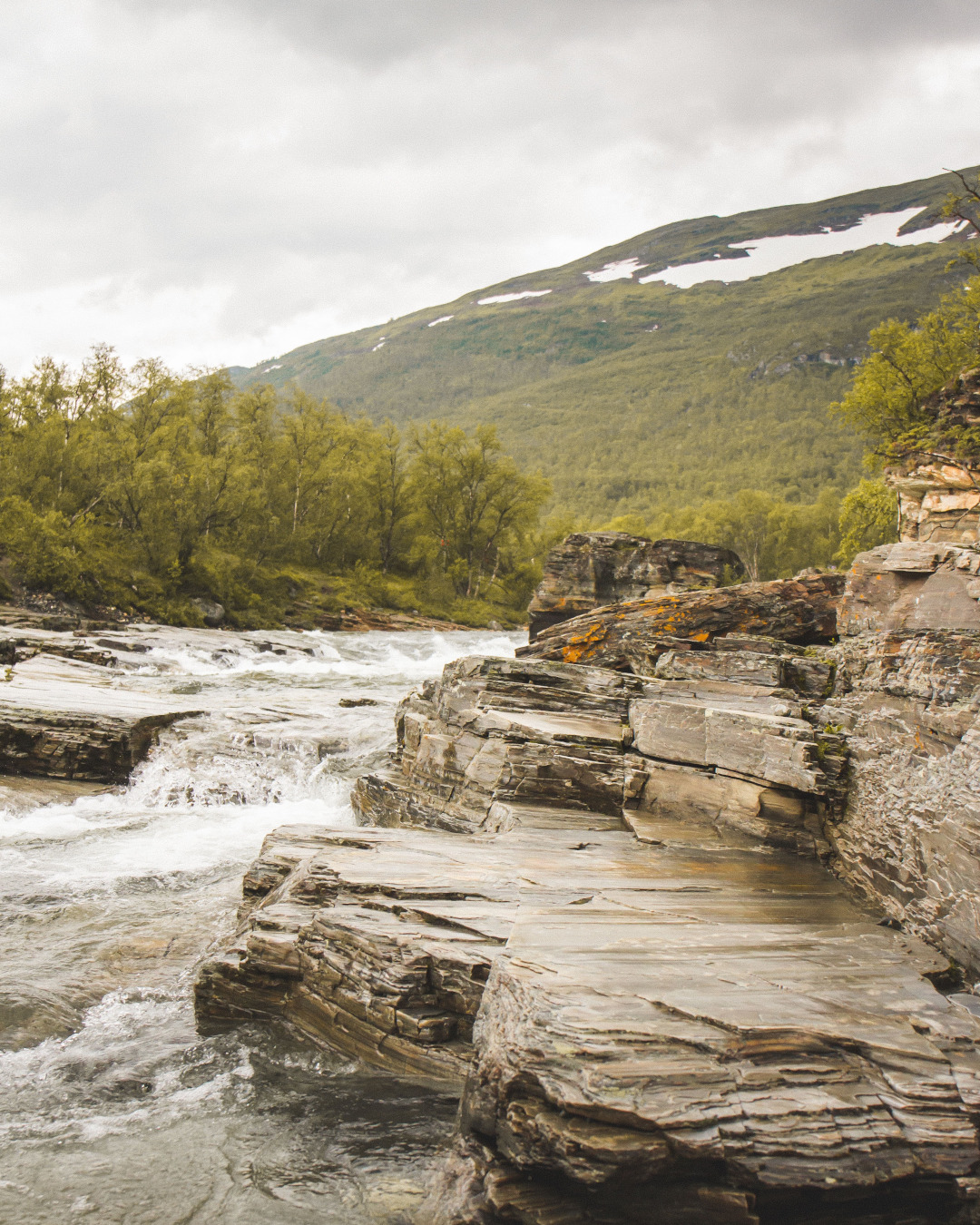 Embracing the Serenity of Swedish Nature