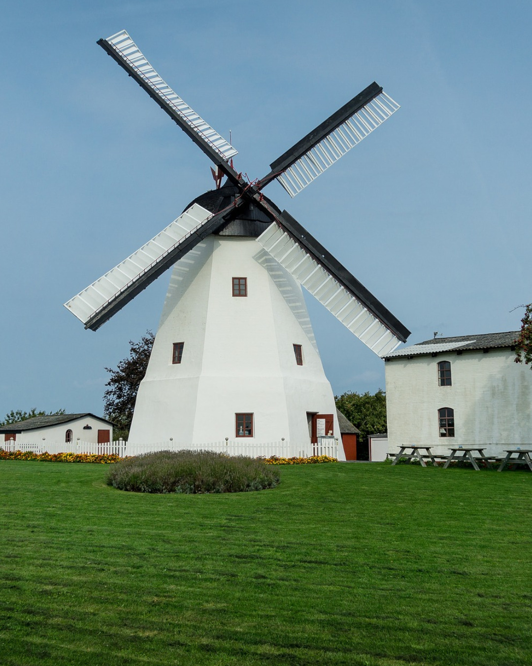 Danish breeze and the dance of windmills