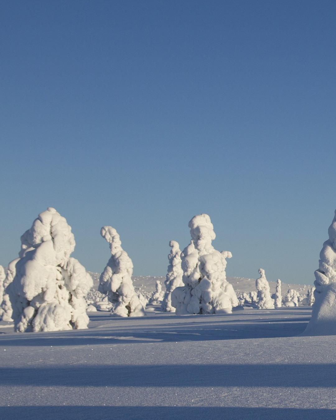 Lapland is a magical destination