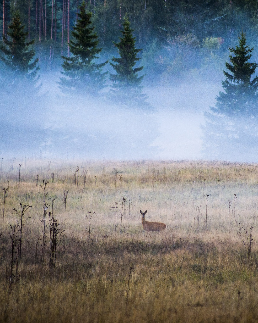 Sweden’s natural wonders