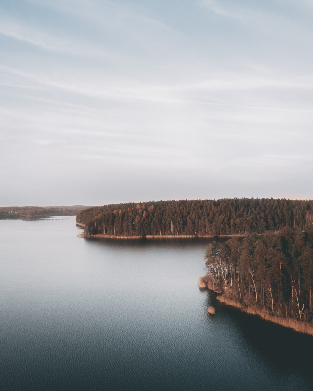 Swedish lakes and forests