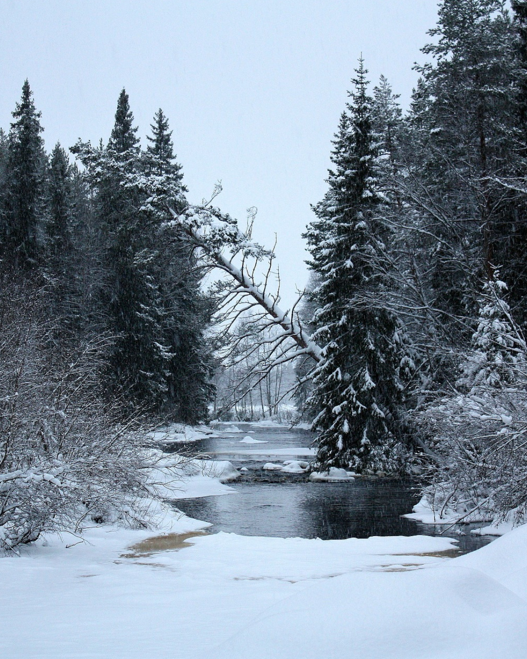 Winter wonders in the heart of Finland
