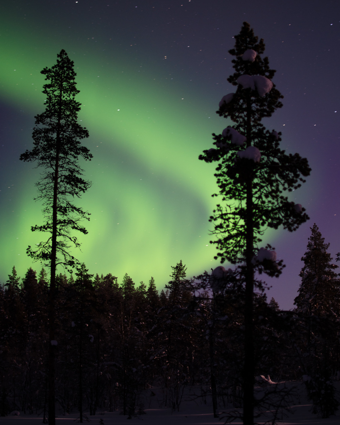 Aurora Borealis in Sweden’s Lapland