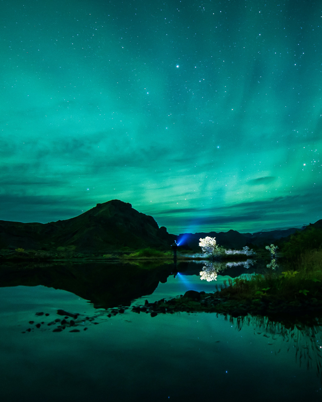 Aurora Borealis in the Icelandic Winter