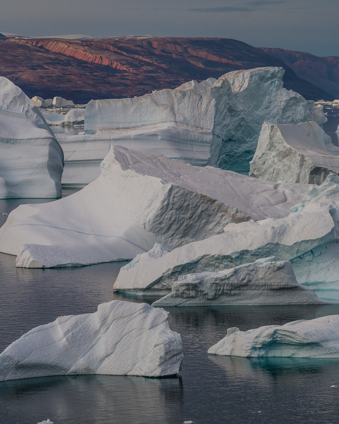 Greenland’s drifting icebergs