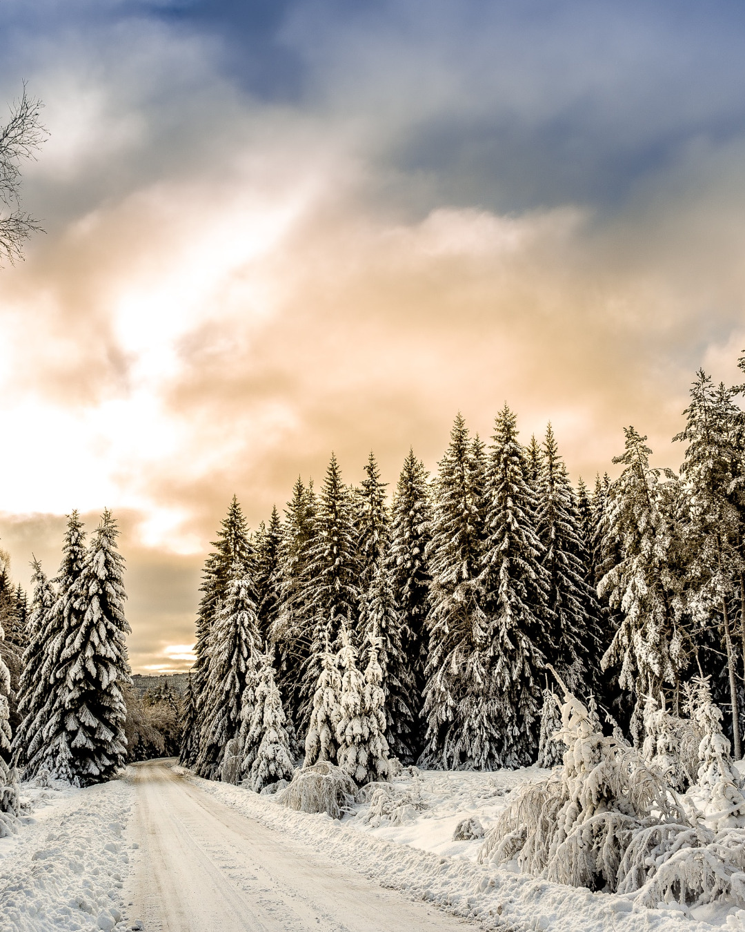 Swedish Lapland – Arctic wonderland