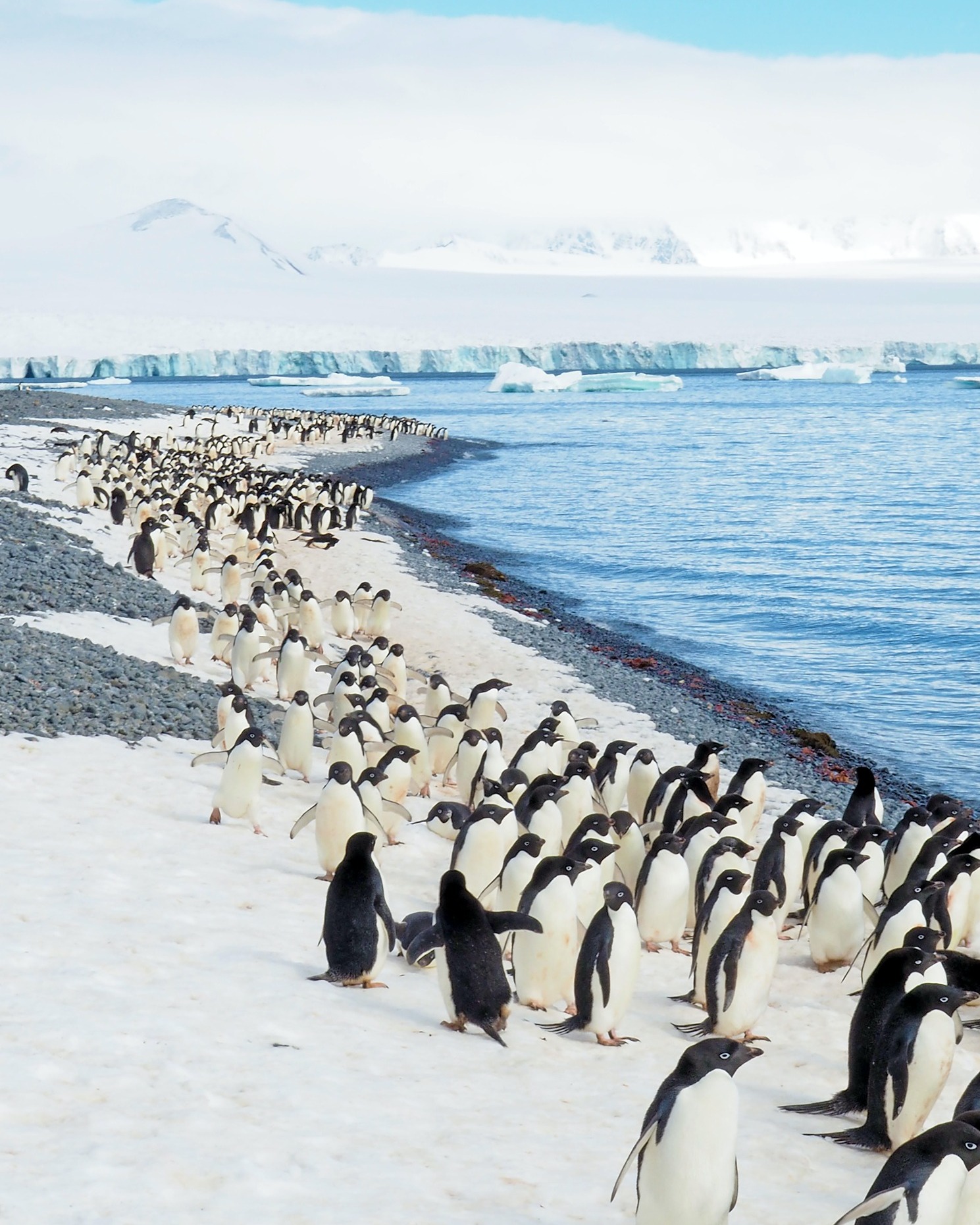 An 8 Day cruise to Antarctica