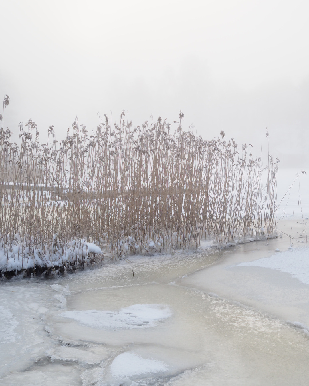 Frozen lakes of Sweden