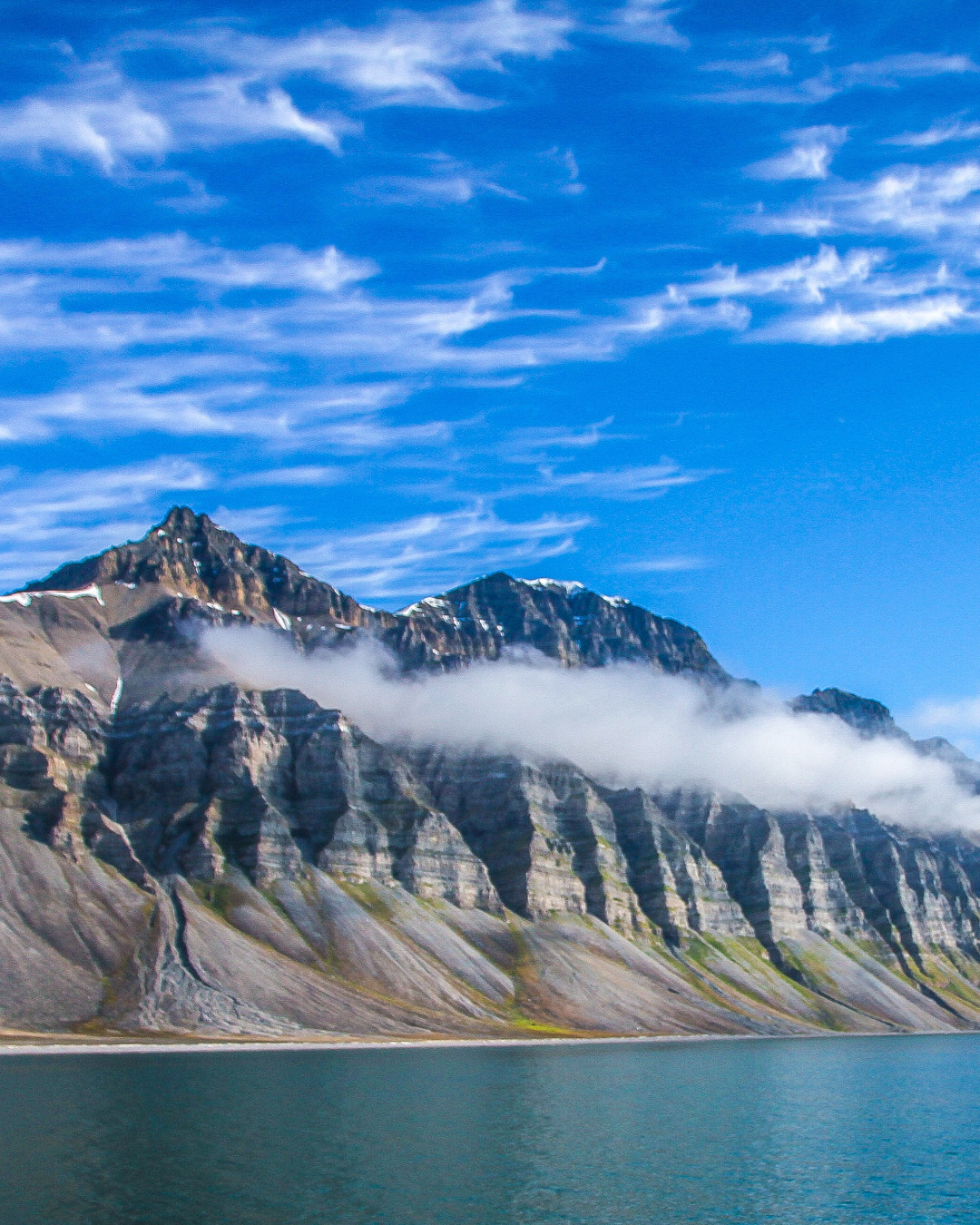Svalbard are a paradise for wildlife enthusiasts