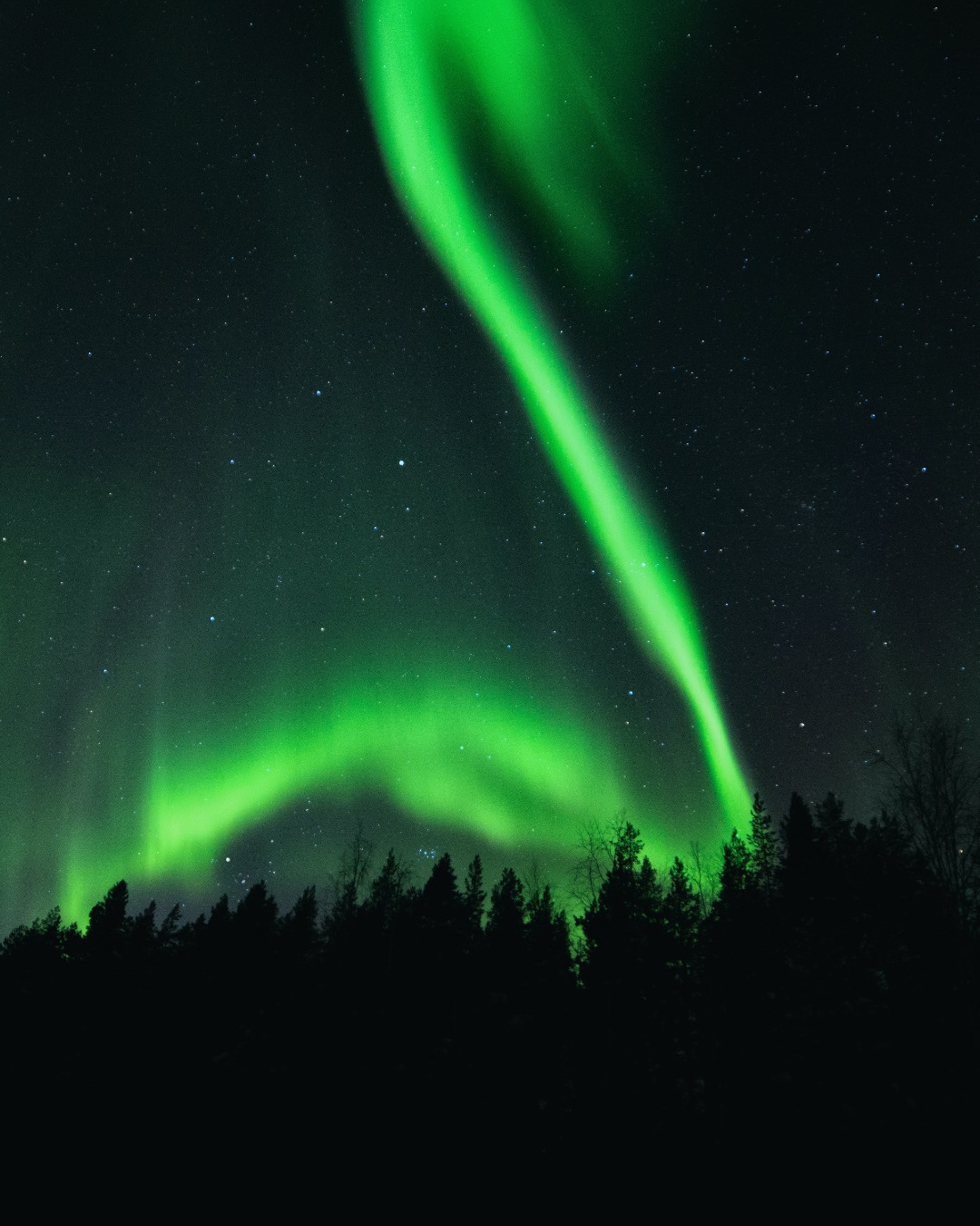 Northern Lights hunt in Swedish Lapland