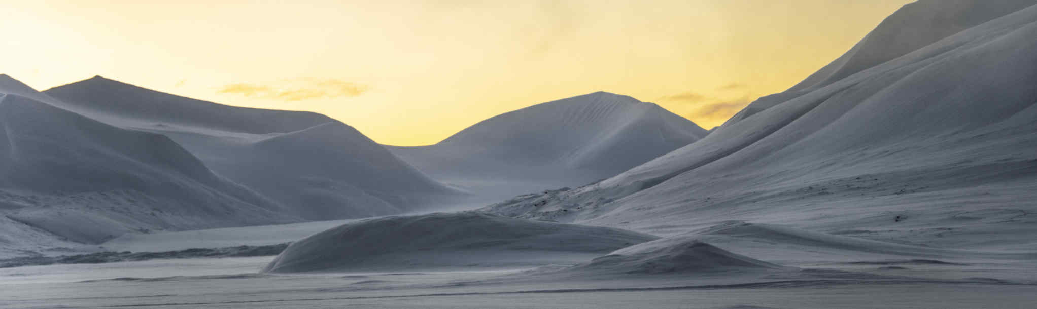 svalbard tour expedition polar bear snow polar night polar summer penguin antarctica snowmobile ice cave husky dog sled russia russian finland sweden seed vault svalbard walking tours hike longyearbyen pyramiden east cost poli arctici visit svalbard