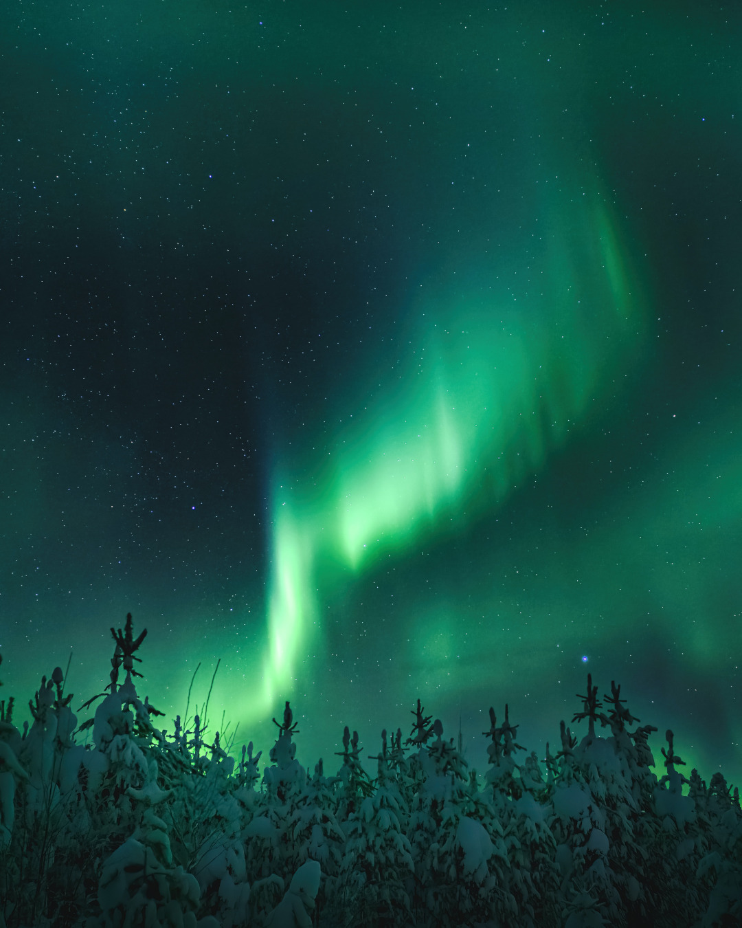 Why Visit the Nordics for Northern Lights
