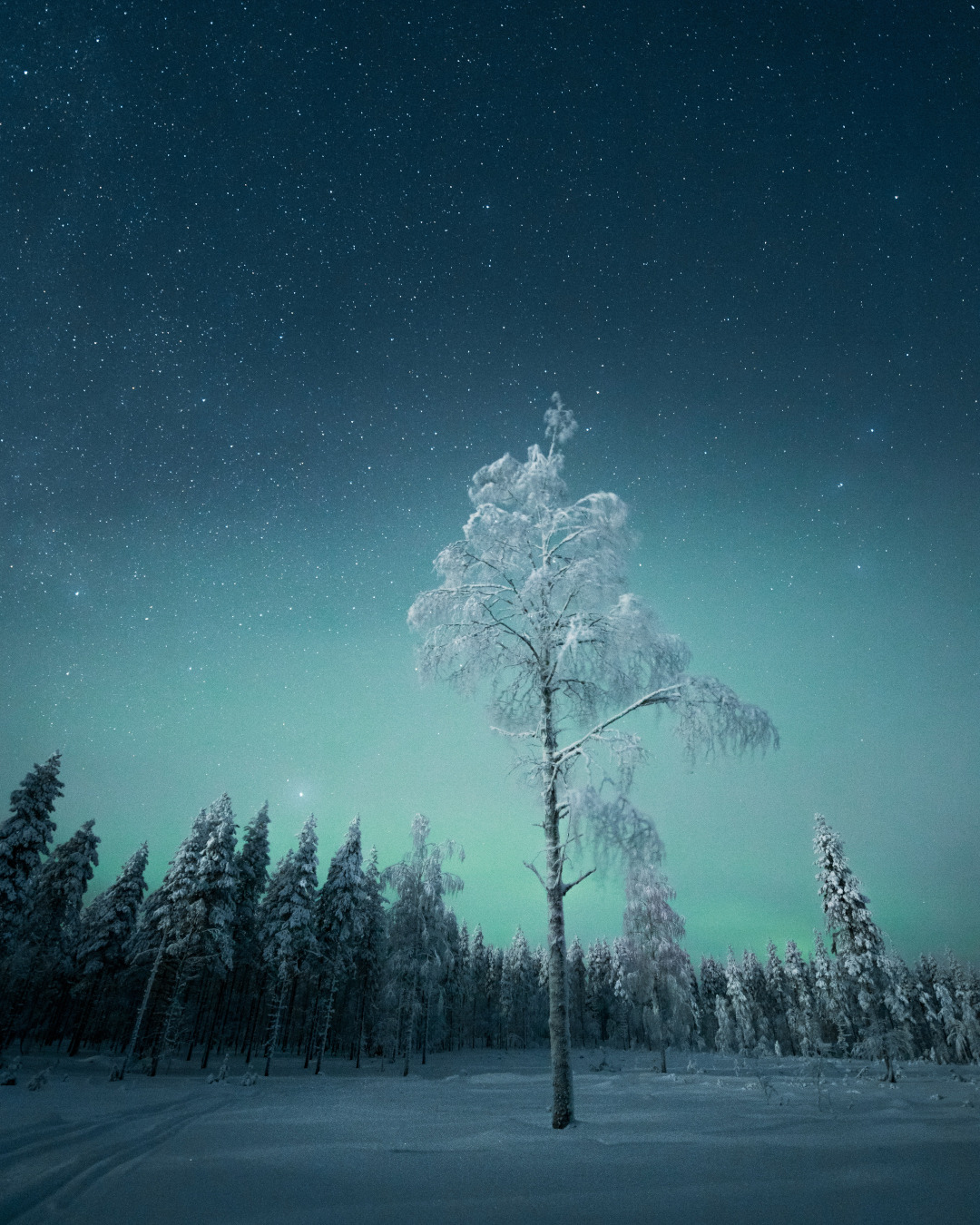 Swedish Lapland & Aurora Borealis