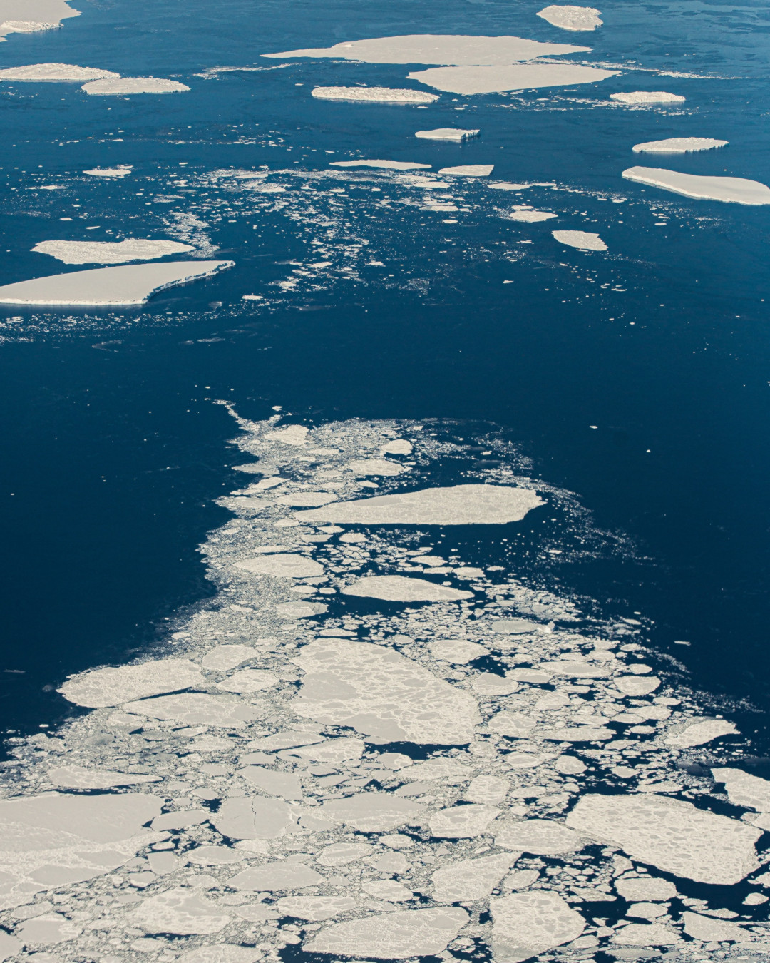 Drifting Ice in Antarctica