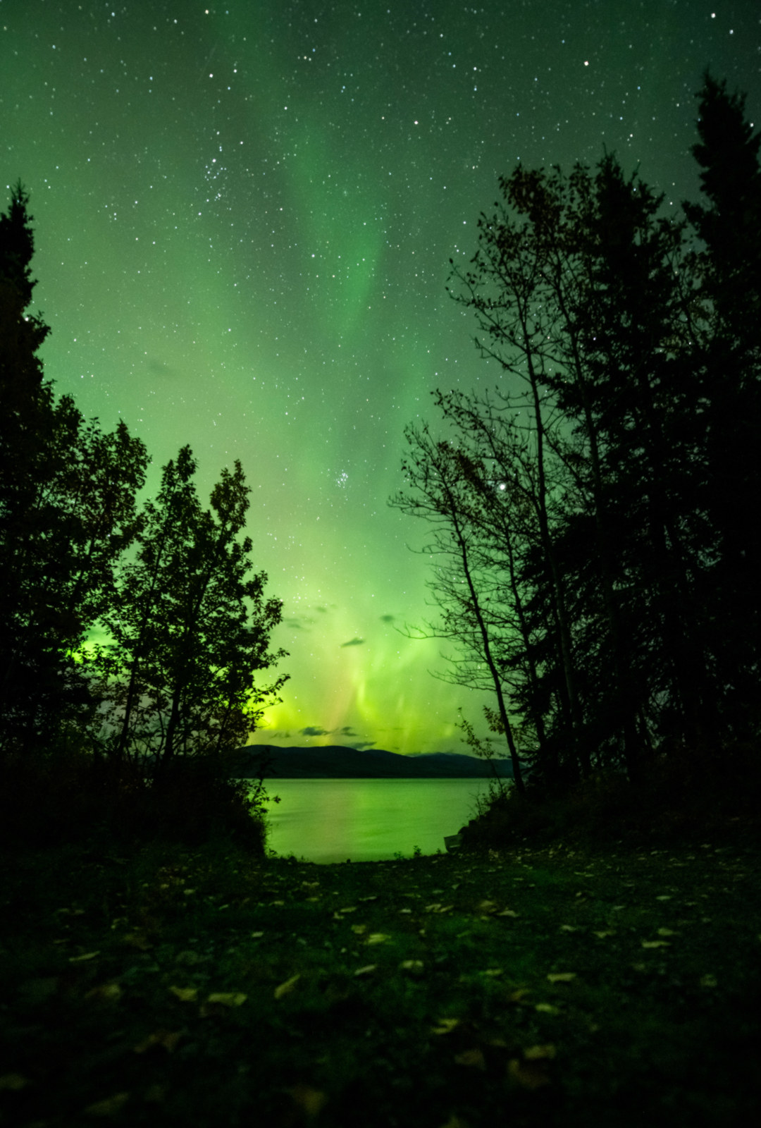 Northern Lights/Aurora Borealis