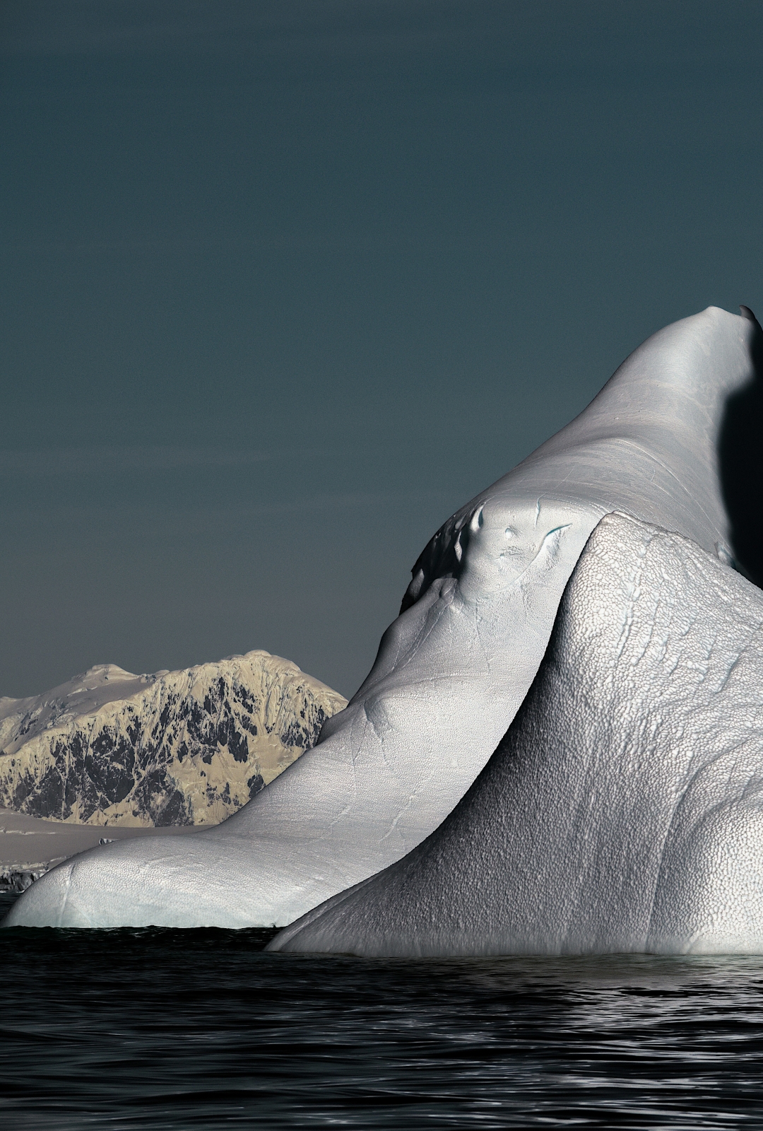 Drifting Icebergs in Greenland