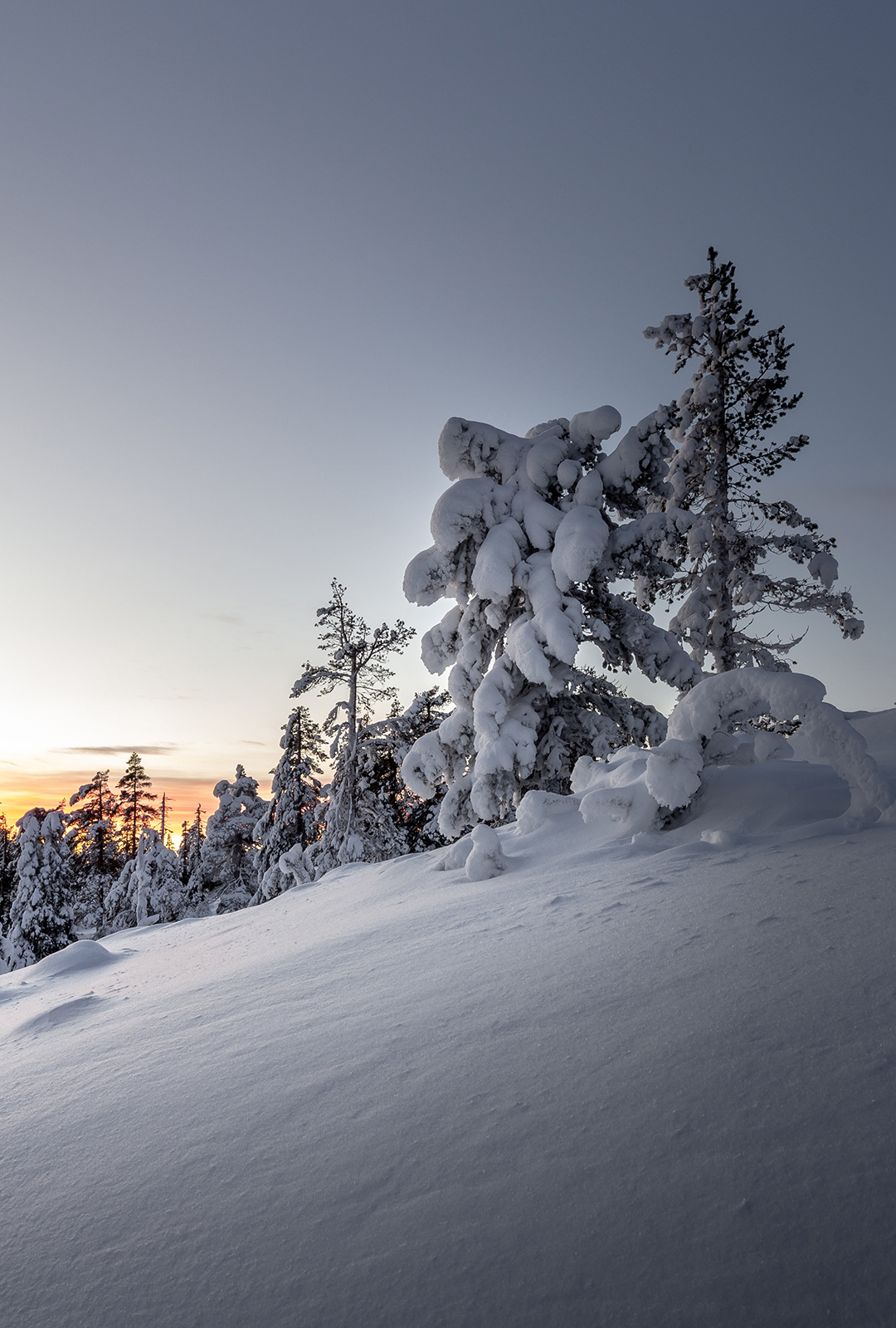 Winter Wonderland Snow-Covered Lapland