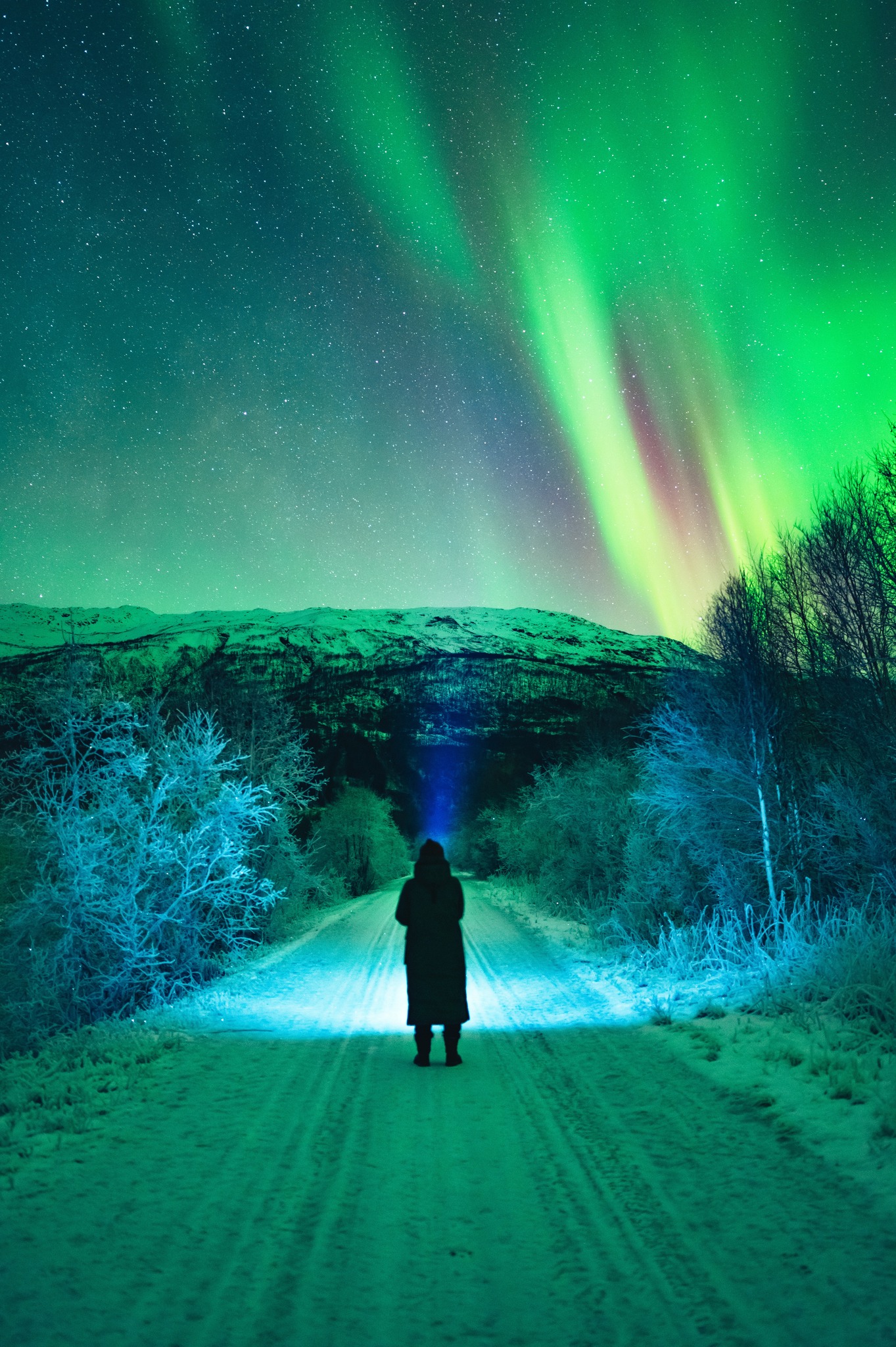 Wonder of Northern Lights in the Nordics