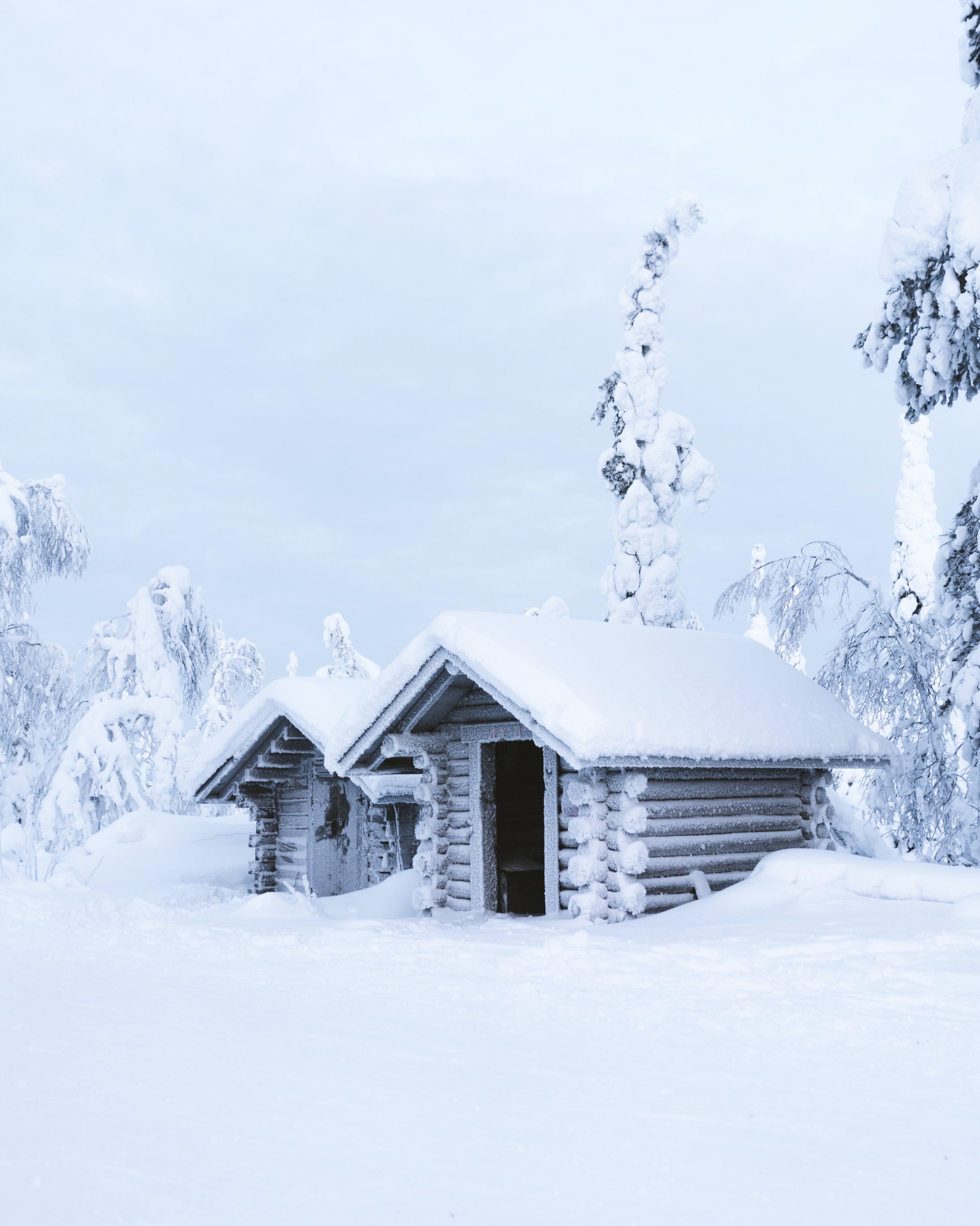 Lapland snow in the winter