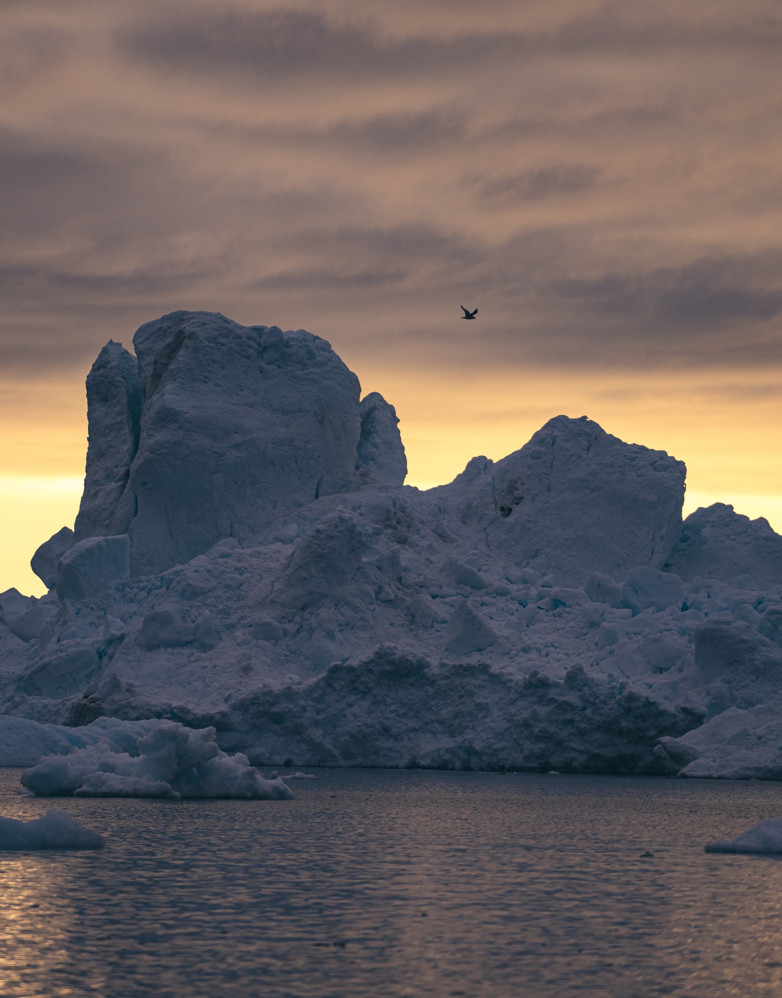 Icebergs and Sunsets of Greenland