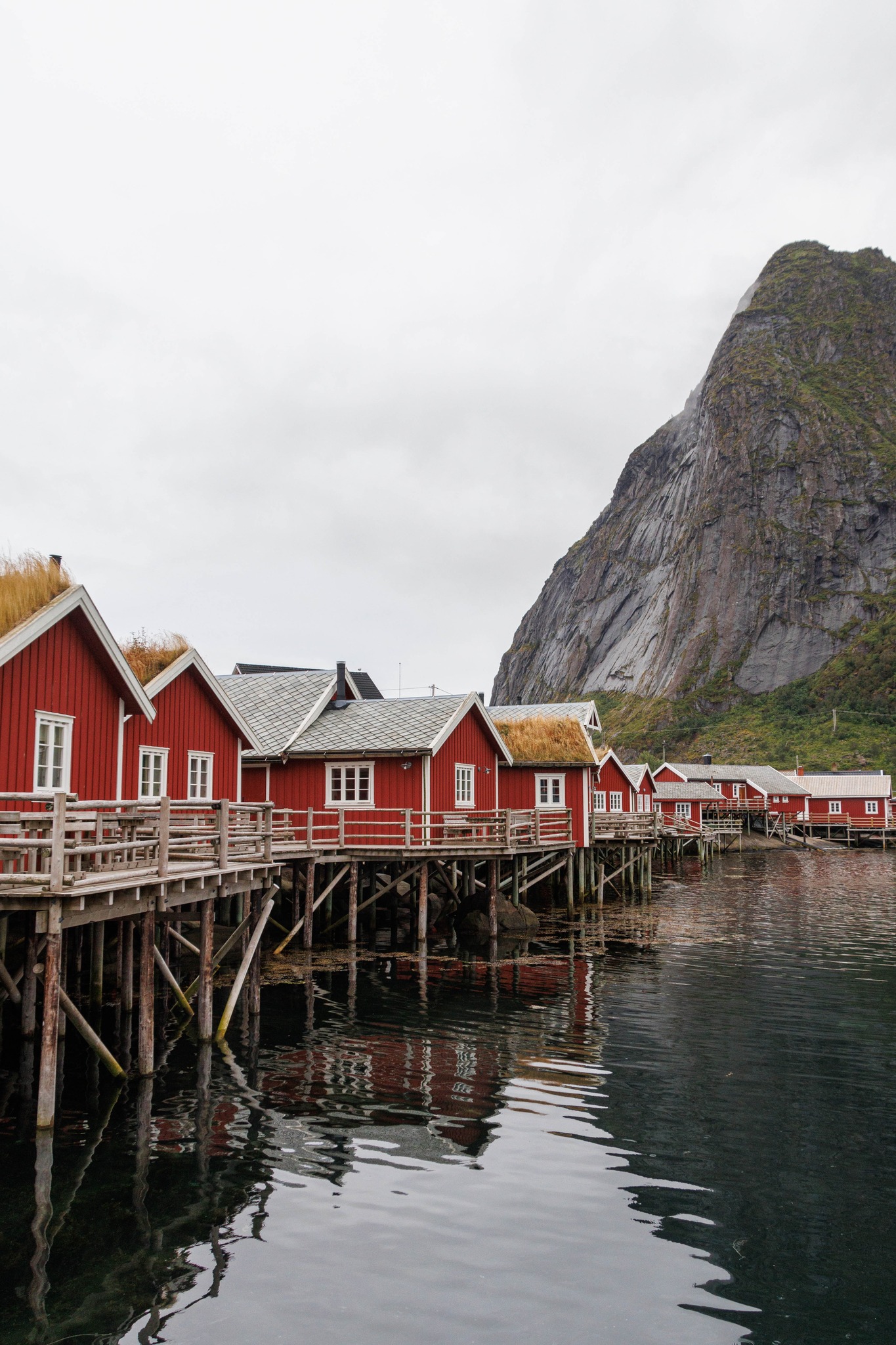 Lofoten’s Iconic Red Houses