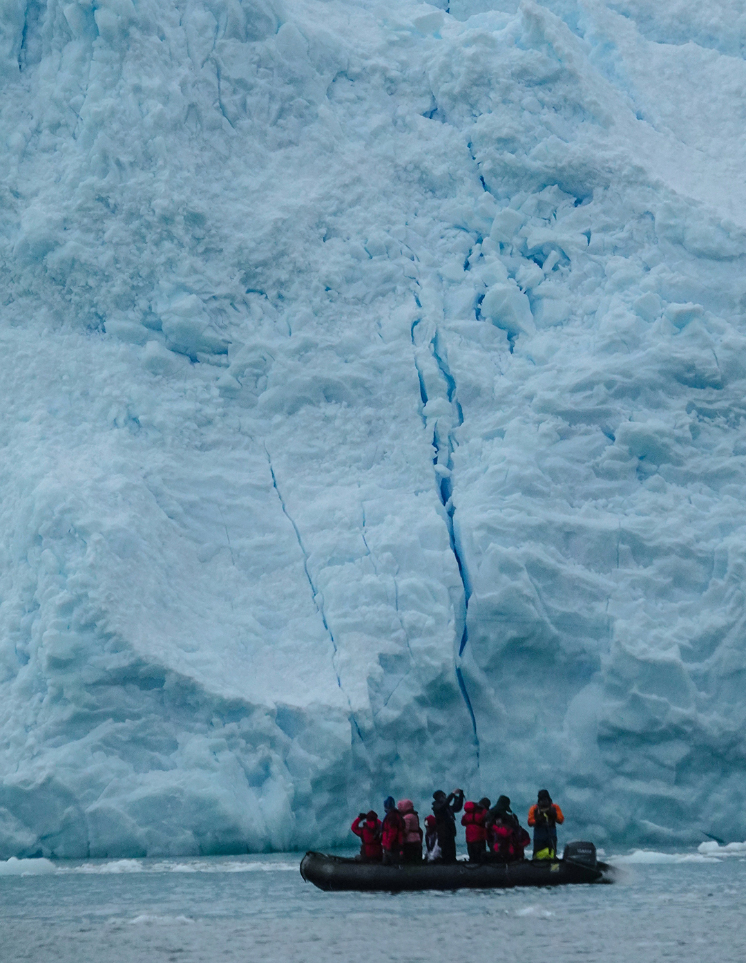 See the Icebergs of Antarctica