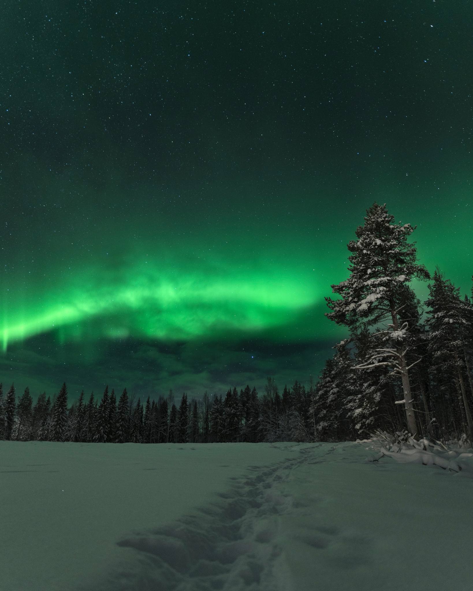 Northern Lights season in Lapland
