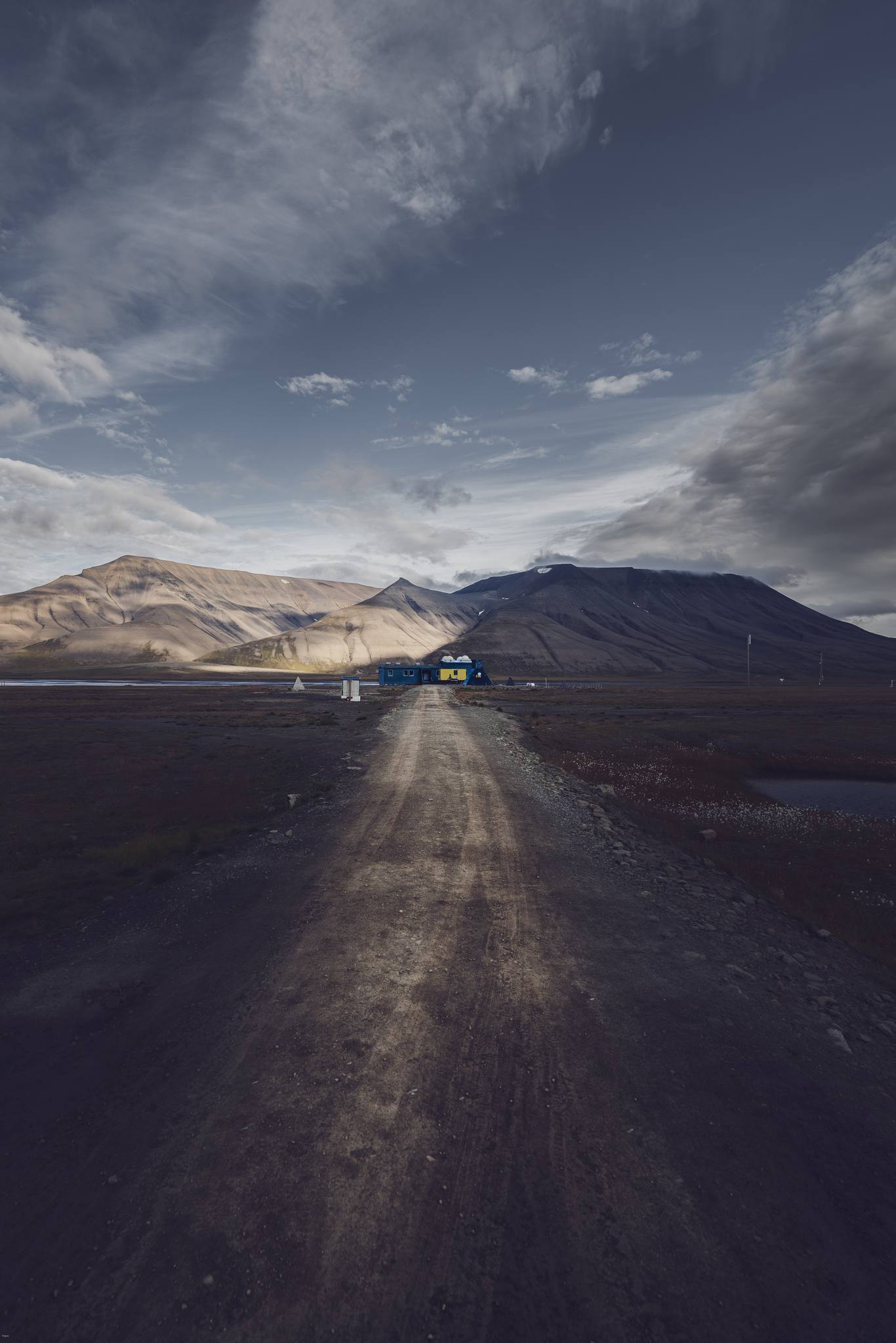 Svalbard Population Curiosities