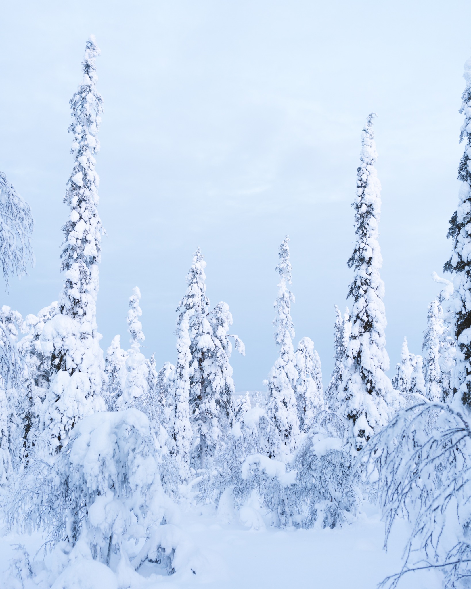 Untitled post 22522