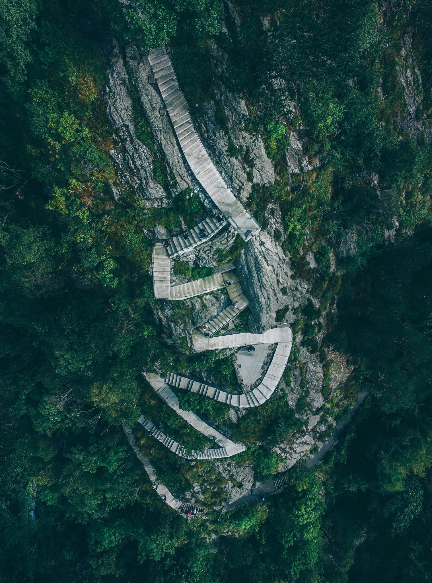 Untitled post 22516