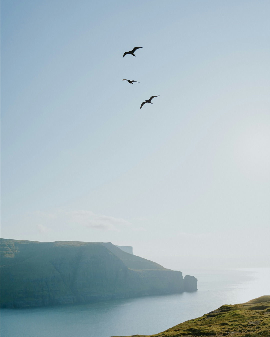 Discover dramatic coastlines, waterfalls and scenic drives with…